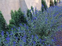photos 2000-200902540